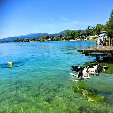 Διαμέρισμα Allmaier *