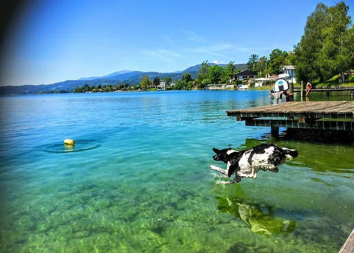 Apartament Allmaier *